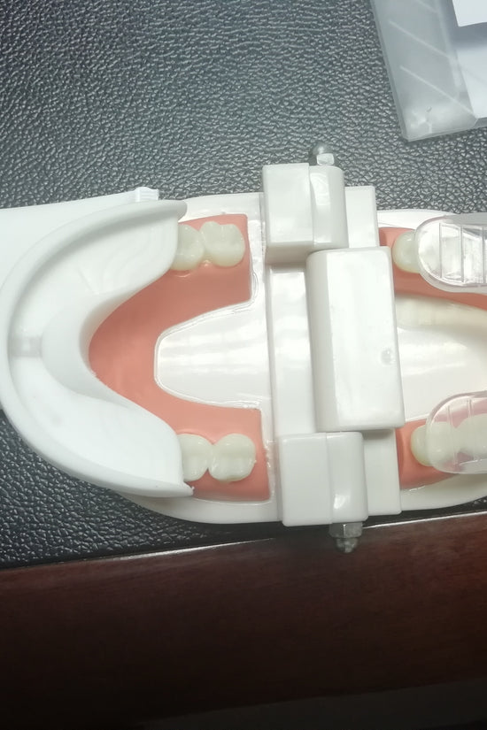 Waterproof U Type Tooth Brush Whitening Blue Light USB Charging